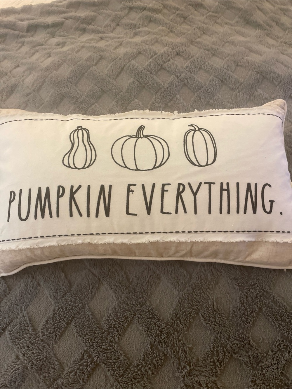 Rae Dunn Decorative Pillow Pumpkin Everything.
